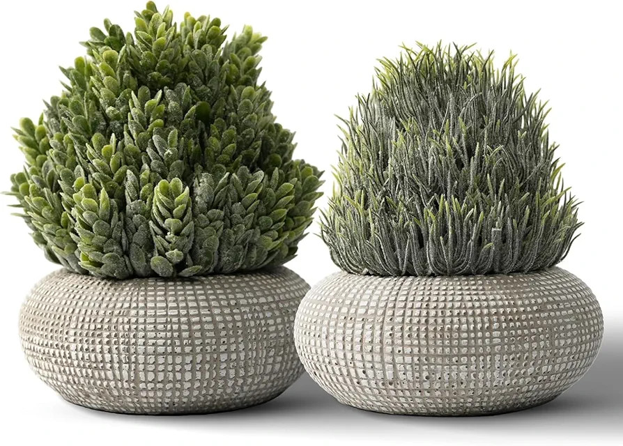 2Pack Small Fake Plants 6.1/5.7 Inch, Artificial Plants Indoor in Cement Planter, Faux Plants Ind... | Amazon (US)