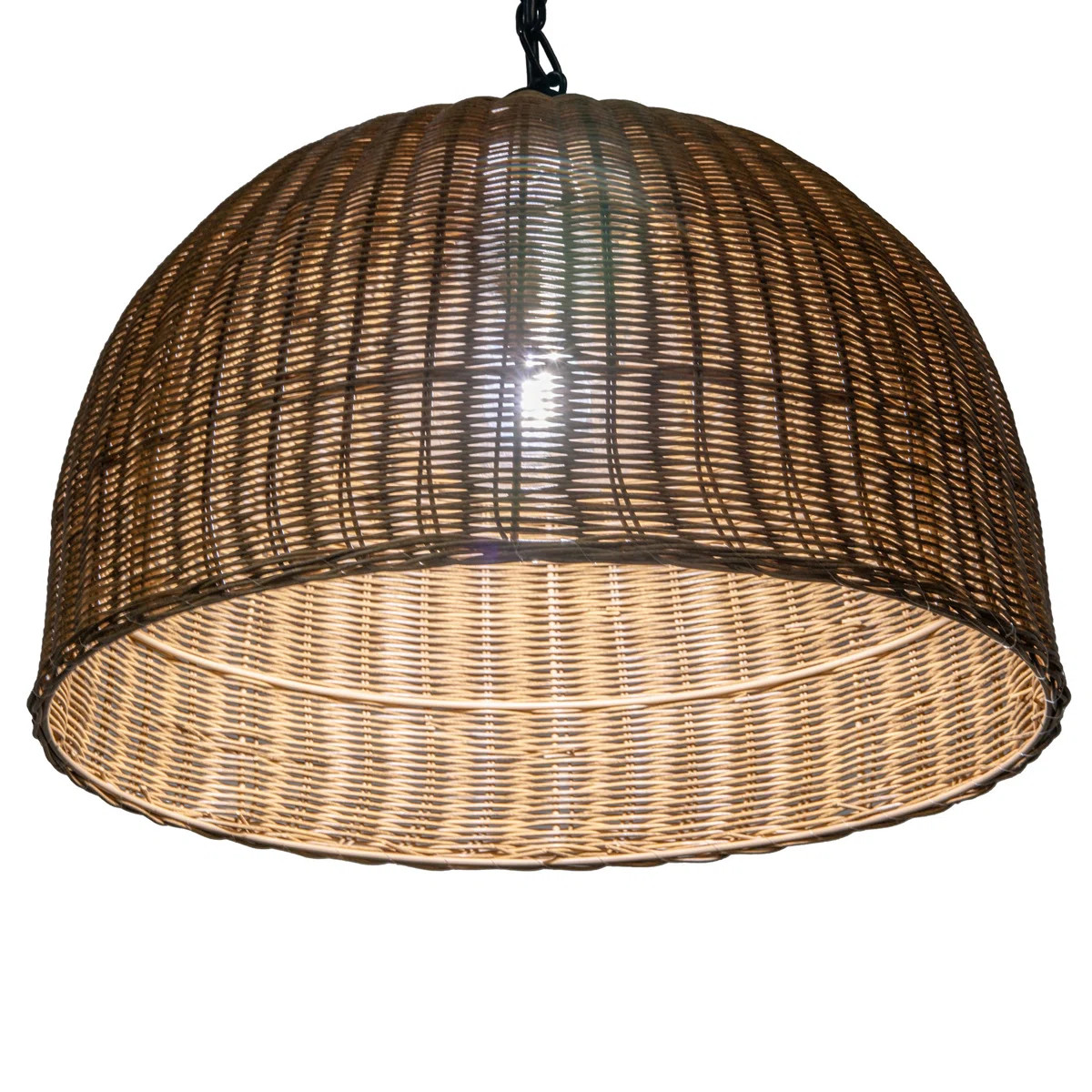 Renate Outdoor Pendant | Wayfair North America