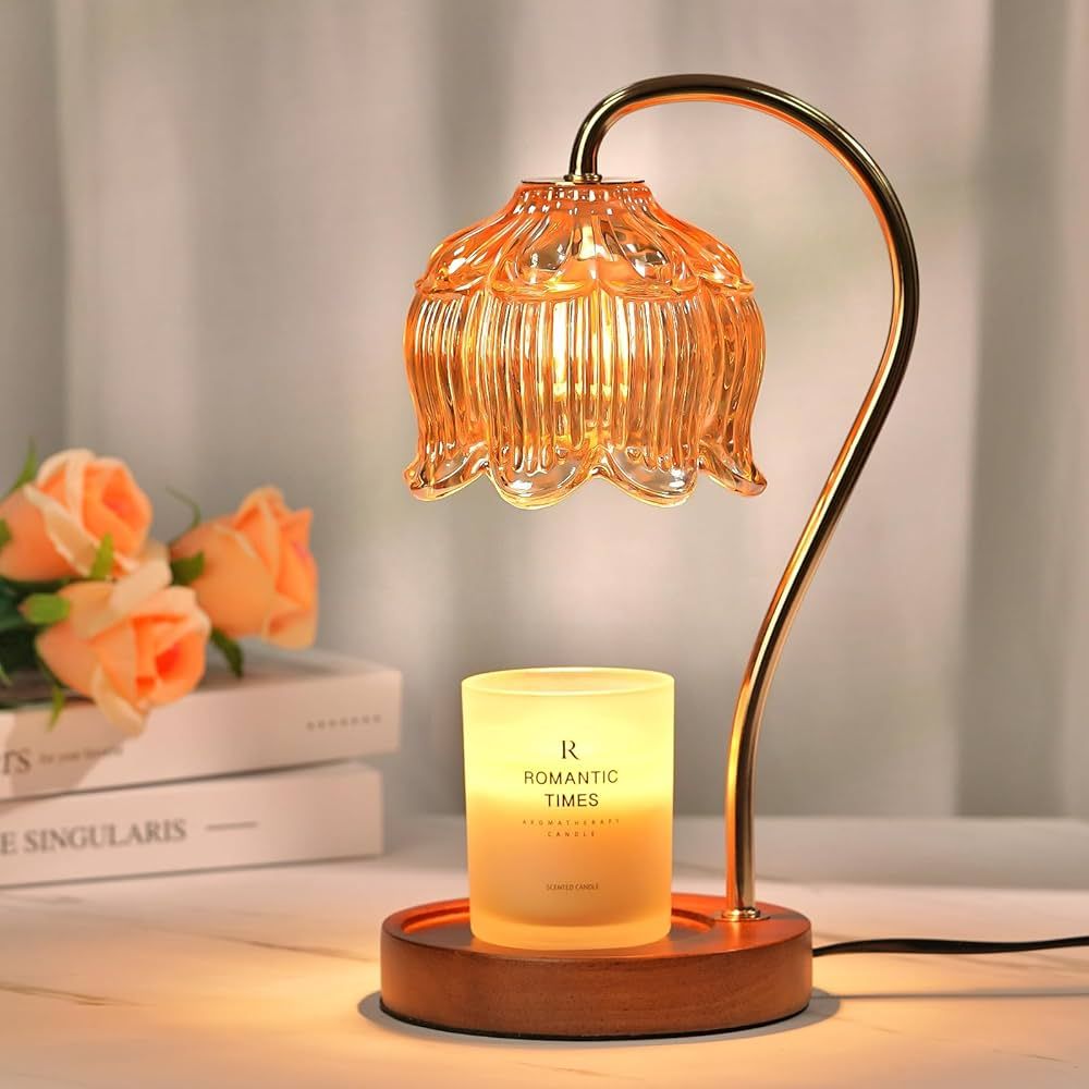 Dimmable Flower Candle Warmer Lamp with Timer, Vintage Candle Lamp Warmer, Unique Birthday Gifts ... | Amazon (US)