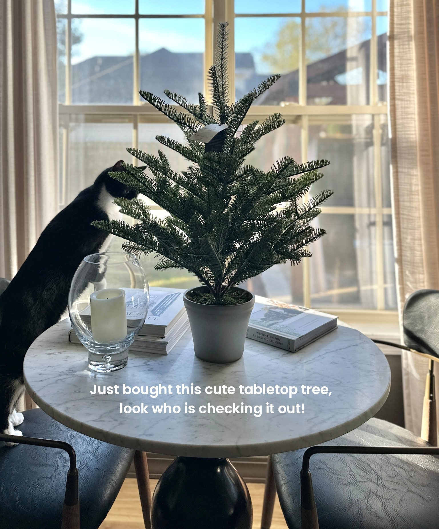 I haven’t had any artificial trees in years, but decided I’d like one on this table in front of a window. I’ll thrift an urn to put it in, but I really like the shape! I got the 30"

#LTKStyleTip #LTKFindsUnder50 #LTKHoliday