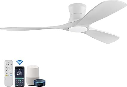 52in Smart Low Profile Ceiling Fans with Lights Remote,Quiet DC Motor,Outdoor Indoor Flush Mount ... | Amazon (US)