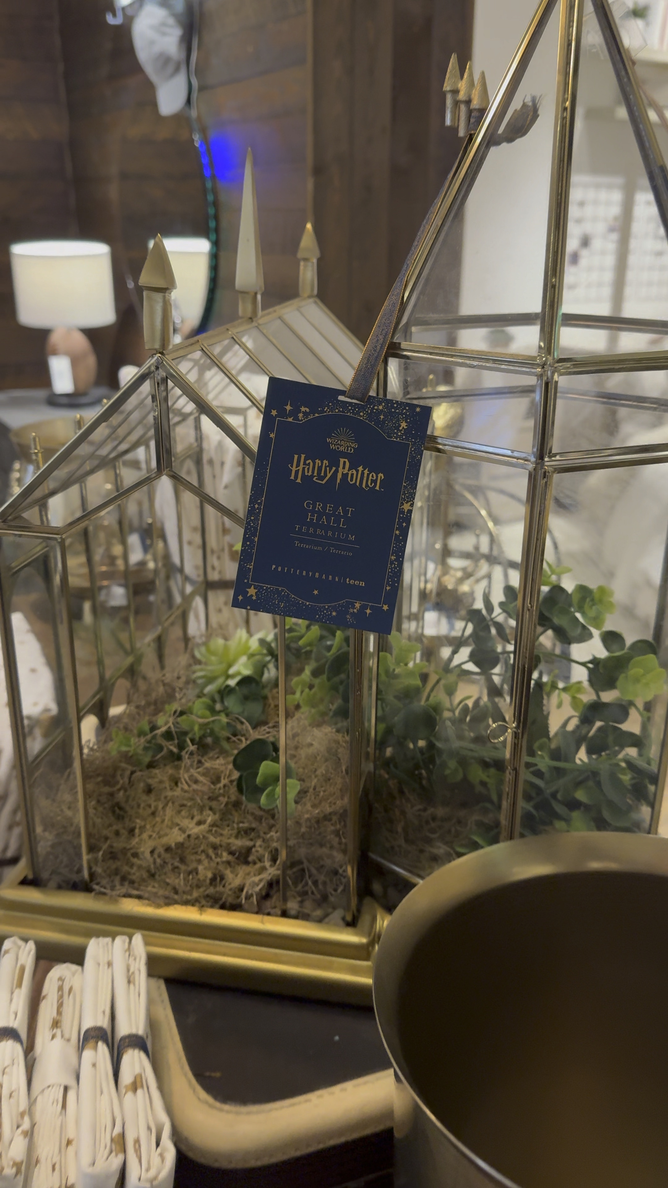 I’m forever needing a little piece of Hogwarts in my home. 🥰🏰 How beautiful is this Great Hall Terrarium?! 🪴 Such a beautiful Harry Potter collectible. ⚡️

#LTKhome