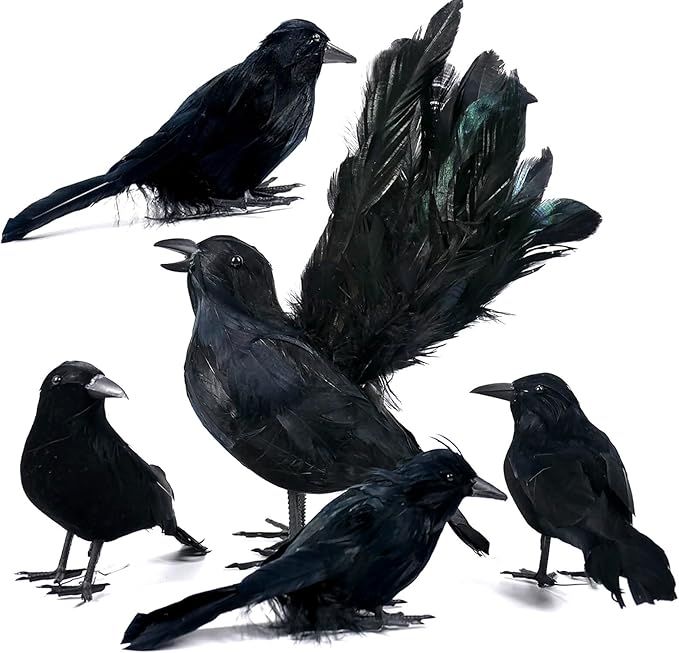 Orgrimmar 5 PCS Black Feather Crows Halloween Party Decors Halloween Hanging Props Haunted House ... | Amazon (US)