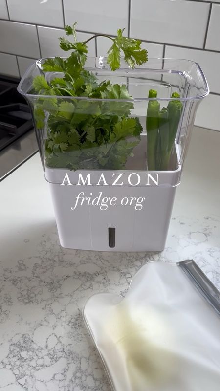 O R G / new fridge organization finds from Amazon Canada home

+ fresh herb keeper
+ reusable dishwasher safe silicone sandwich bags


#LTKfindsunder50 #LTKhome