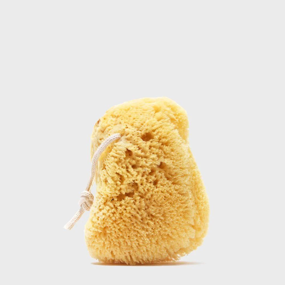 Organic Small 3 in. Sea Sponge | Organic | Public Goods | Public Goods