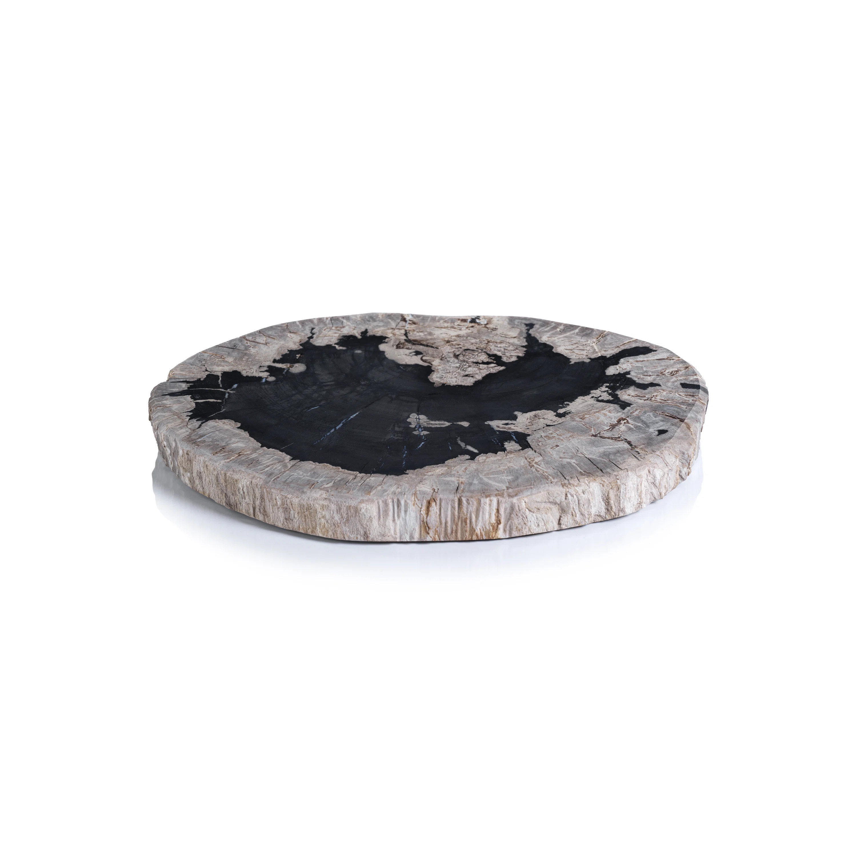 Brasilia Petrified Wood Cheese Board | Wayfair North America