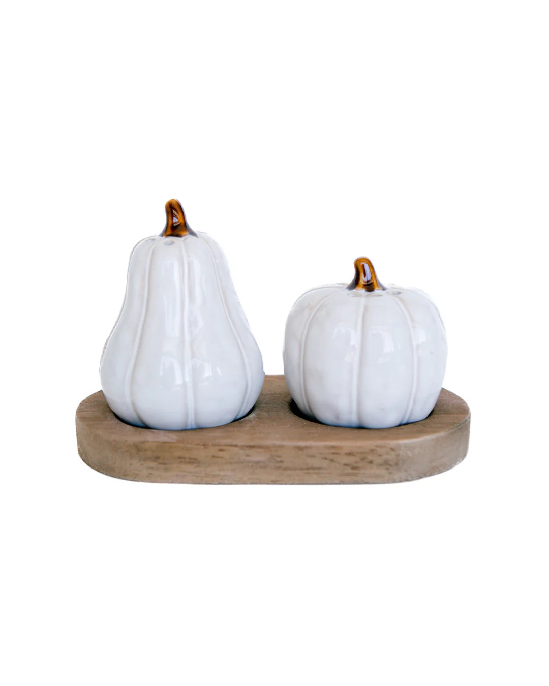 Pumpkin Spice Shakers | Elements by Remedy