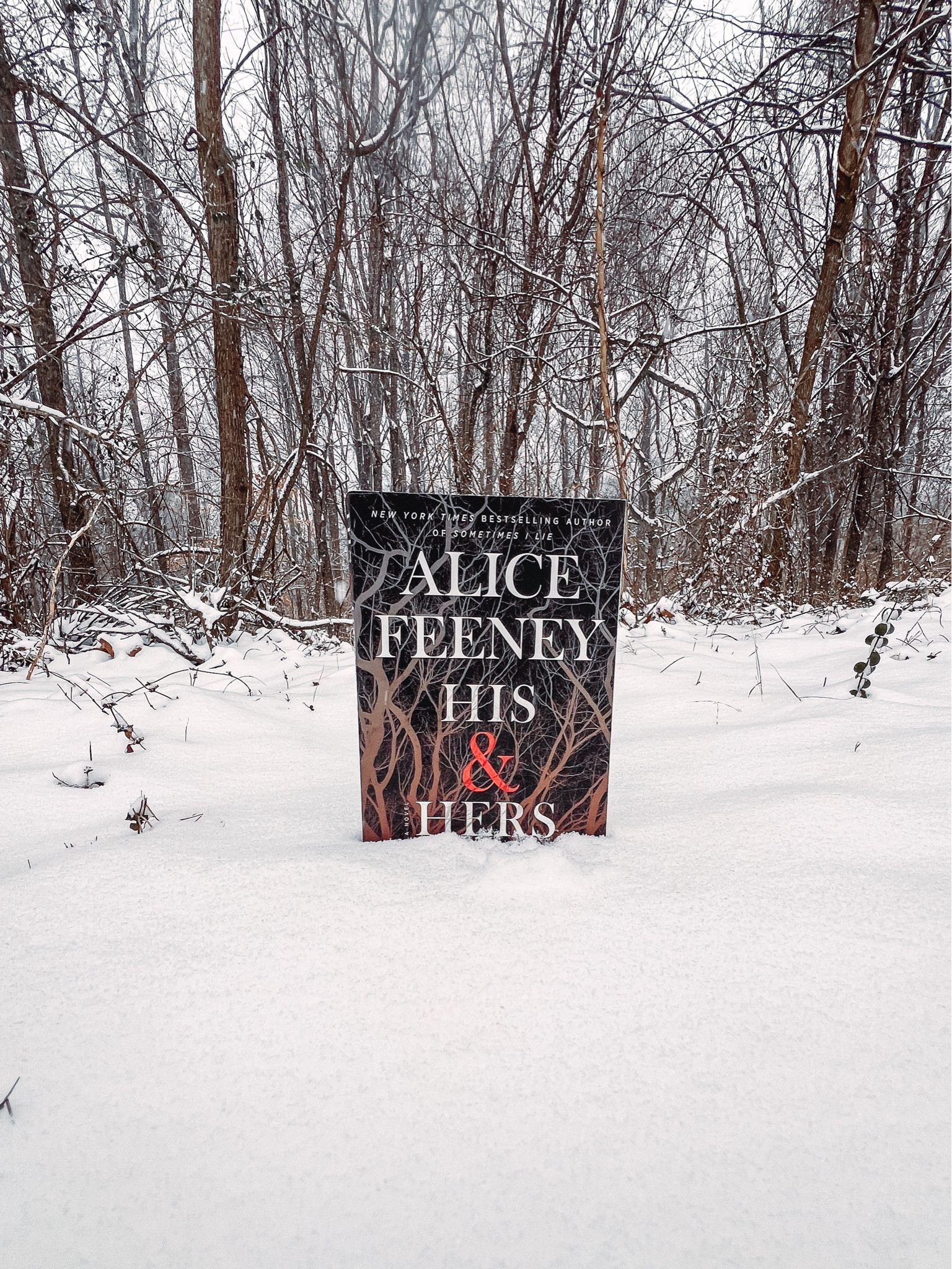 When a woman is murdered in Blackdown, a quintessentially British village, newsreader Anna Andrews is reluctant to cover the case. Detective Jack Harper is suspicious of her involvement, until he becomes a suspect in his own murder investigation.

Someone isn’t telling the truth, and some secrets are worth killing to keep.

His & Hers is a twisty, smart, psychological thriller. A gripping tale of suspense, told by expertly-drawn narrators that will keep readers guessing until the very end.



#LTKGiftGuide #LTKMostLoved #LTKfindsunder50