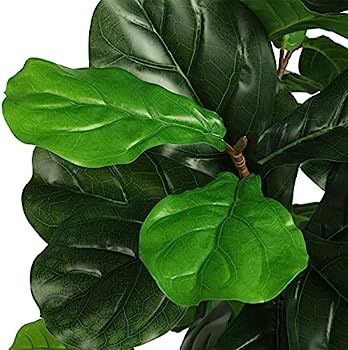 VIAGDO Artificial Fiddle Leaf Fig Tree 6ft Tall 86 Decorative Faux Fiddle Leaves Fake Fig Silk Tr... | Amazon (US)