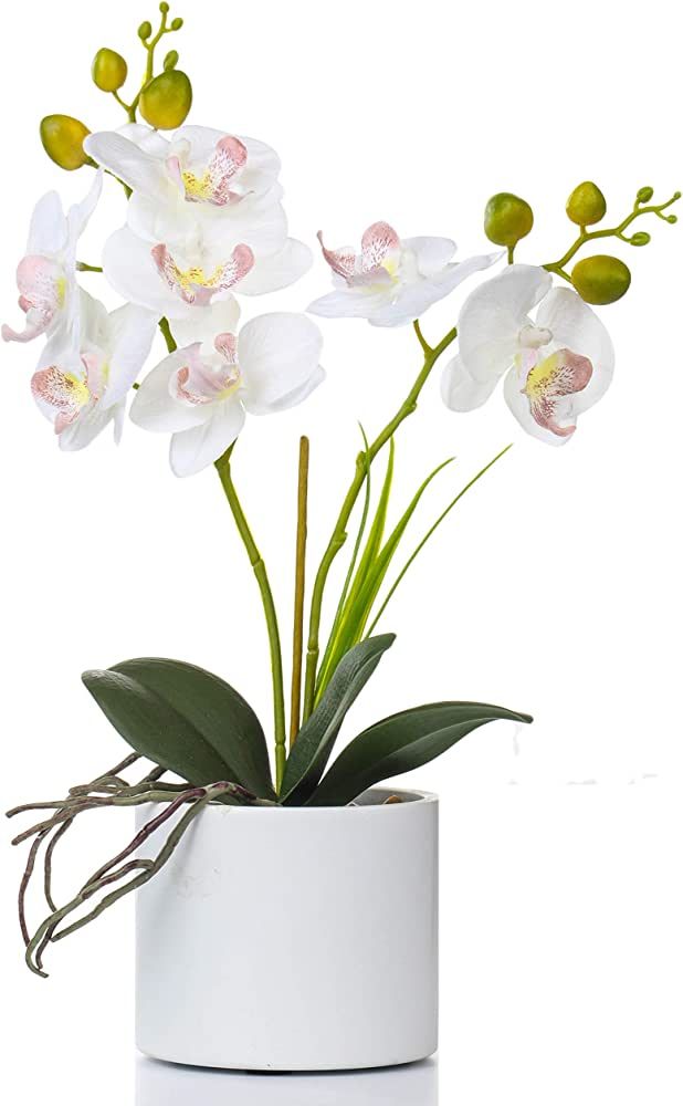 Jusdreen Artificial Flower Bonsai with Vase Vivid Orchid Flower Arrangement Phalaenopsis Flowers ... | Amazon (US)