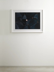 Guy Bourdin framed print, 40'' x 29''