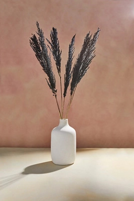 Preserved Pampas Grass, Black | Anthropologie (US)