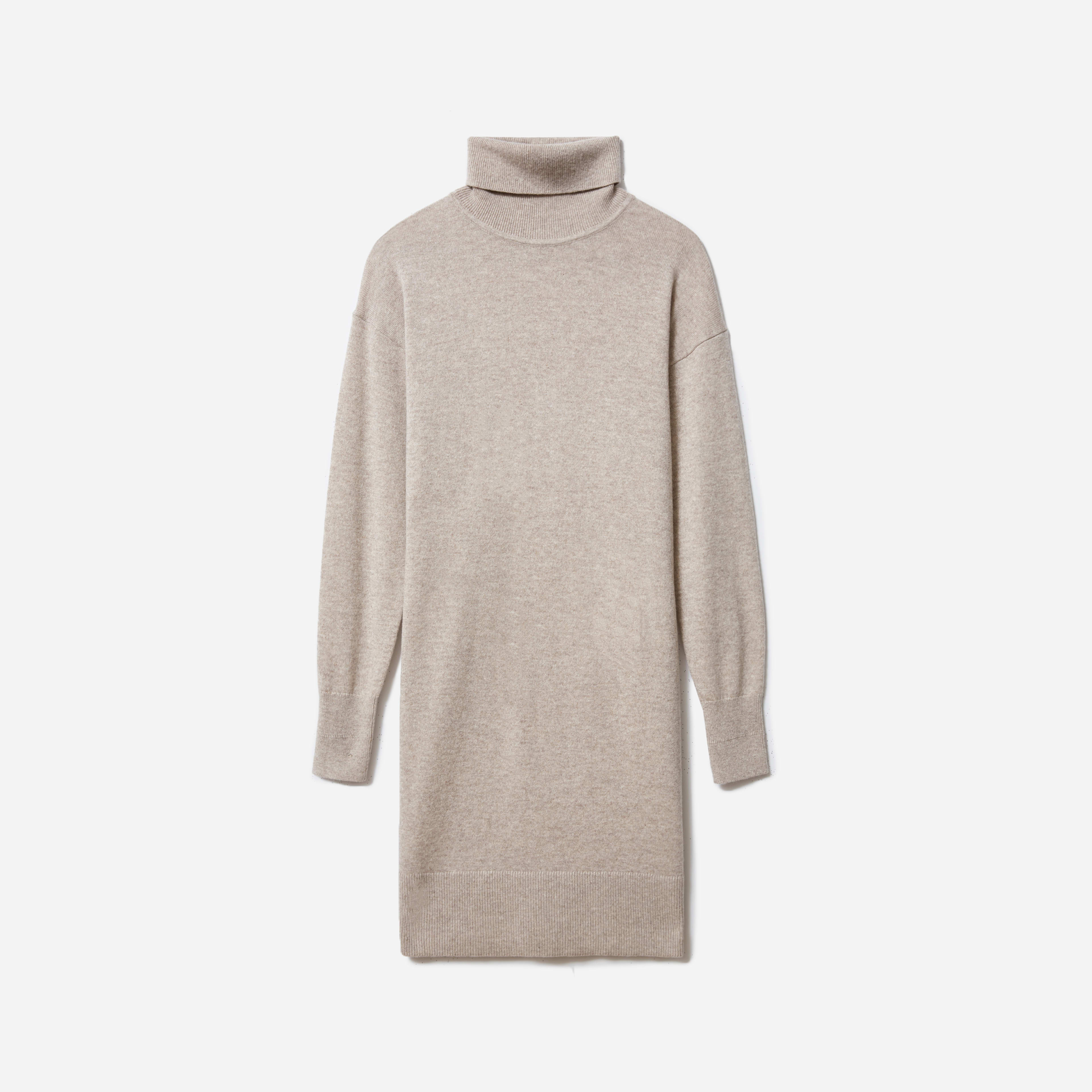 The Cashmere Turtleneck Dress | Everlane