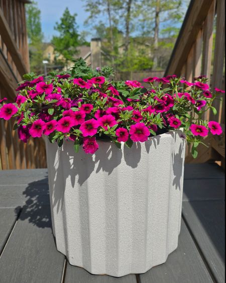Obsessed with these gorgeous Lowe's planters, they look super high end. Lowe's planters, patio decor, outdoor planter, seasonal outdoor decor, white planter

#LTKSeasonal #LTKhome #LTKfindsunder50