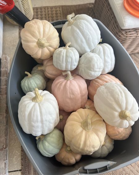 My fave patio pumpkins I used last year and will again this year! They’re durable, can be outdoor & look extremely real! I don’t like rotting pumpkins 😂🎃🙈 they updated the colors to a darker orange & black this year as well! 

Home decor / patio / inspo / fall / neutrals / target / 

#LTKSeasonal #LTKfindsunder50 #LTKhome