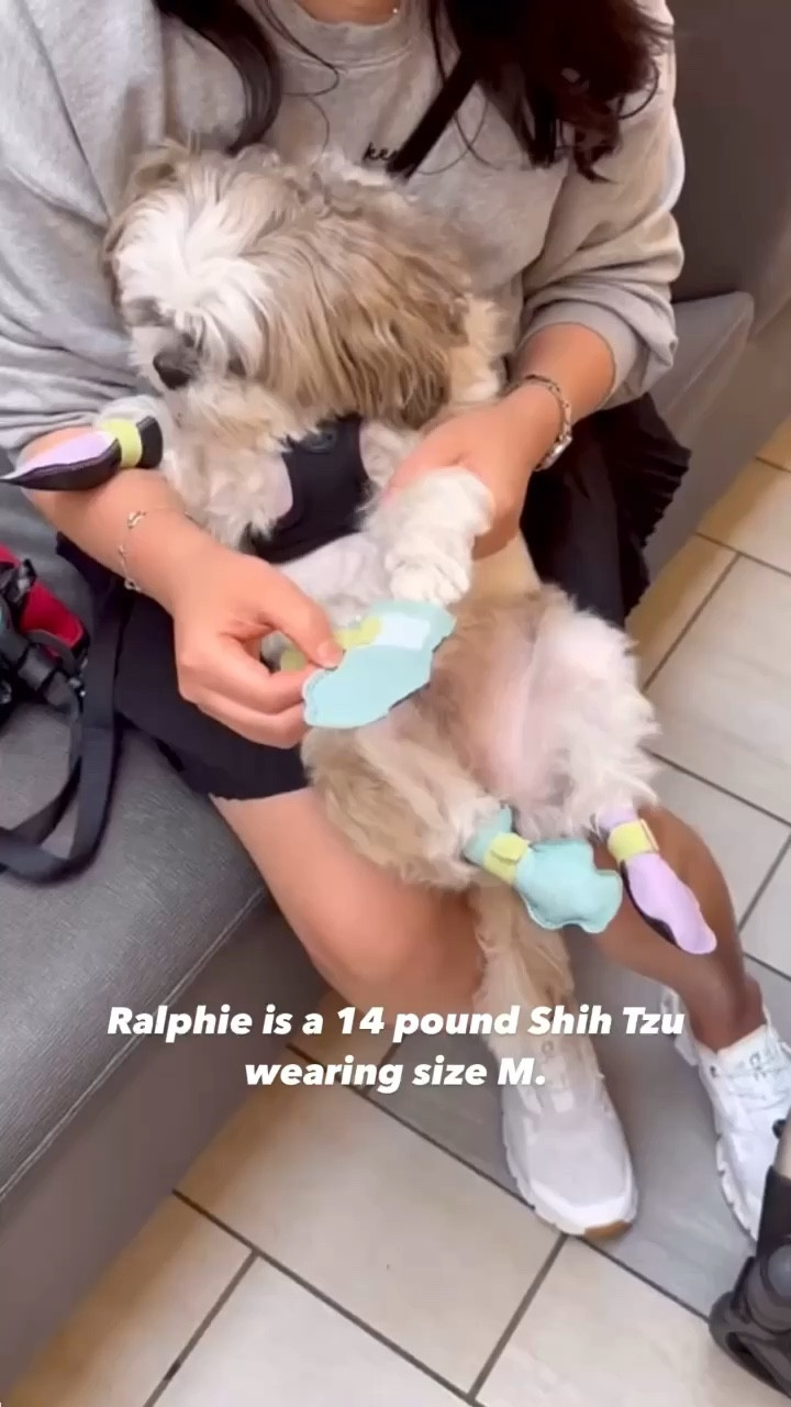 We love these disposable dog booties that stay on. Ralphie is a 14 pound Shih Tzu and he wears size M. Available in multiple colors as a pack of 48. We can usually get a few walks out of each pair before he wears them out since he likes to kick his back paws after peeing. Tip: You can wash the stretchy bands if they get dirty. I prefer the stretchy bands to the 2 rolls of gauze bands which they also include per box. If you carefully remove the bands they will last longer.

Fur baby 
Dog shoes

#LTKKids #LTKBaby #LTKFamily