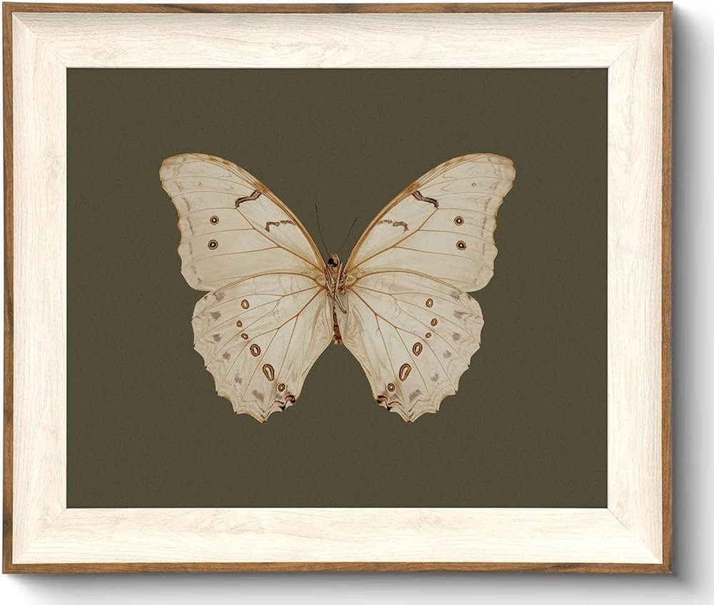 Uniro Vintage Framed Wall Art, Classical Butterfly Oil Paintings, Dark Moody Insect Canvas Prints... | Amazon (US)
