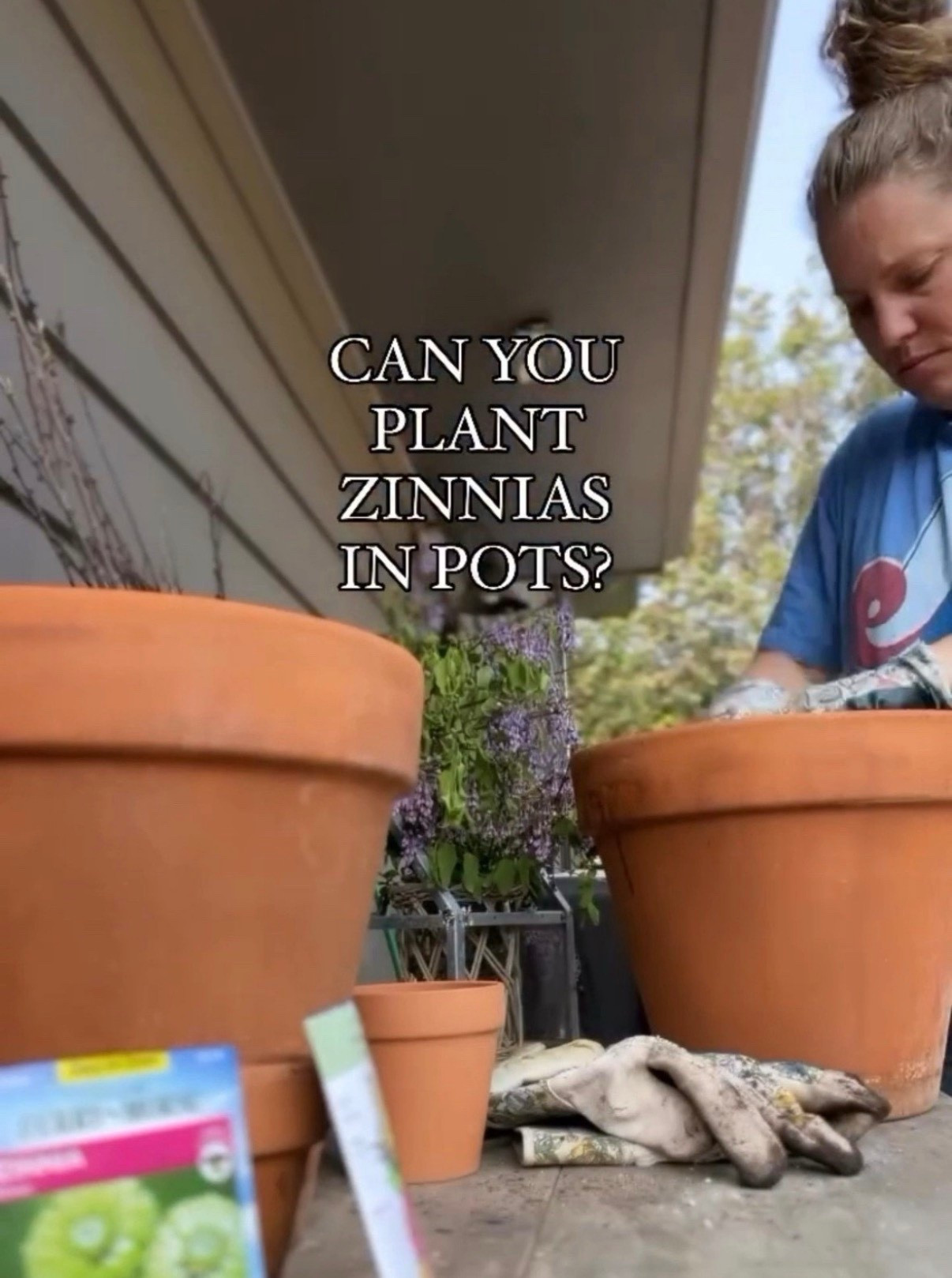 Just one more reason to love zinnias! ❤️🌸Not everyone has space for raised beds or flower beds…luckily zinnias do fabulous in pots or containers! 🙌🏻

While zinnia seeds can certainly thrive in pots, it’s important to opt for the smaller or dwarf variety of seeds for container gardening success. 



Always make sure to check the  height listed on the seed packets or seeking out those labeled as container varieties is key. 

Taller zinnias can get a bit unruly in pots, although they can still work with a bit of extra care! 

🌸Here’s a handy tip: more seeds equals more blooms! This approach is perfect if you’re short on garden space or simply want to sprinkle color across your yard or deck. 

Just remember to provide them with full sun exposure and consistent watering! 


#LTKSeasonal #LTKFindsUnder50 #LTKFindsUnder100