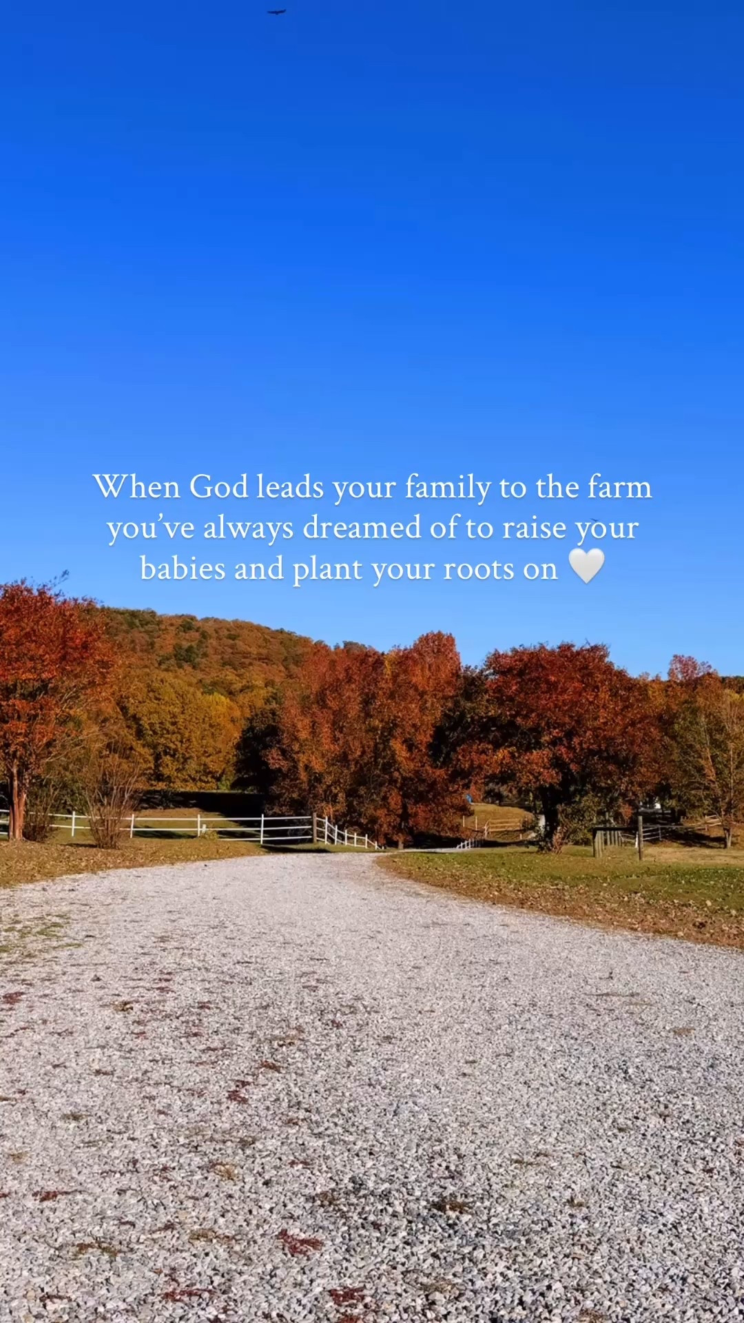 … and it’s immeasurably more (!!) than we could’ve ever asked, dreamed 💭 or imagined 🚜🌾🌅🧺🏡🐴🌻🐓🌳🌼 #ephesians320farm #immeasurablymore #ourdreamfarm #foreverhome 

Follow along here at @emilyjoannemabry to keep up with our family these last winter weeks ❄️ and thennn as we excitedly head into our family’s very first spring 🐥🪴🌸 and summer ☀️🍅🌻 ahead (my favorite seasons of all 😍) out on our dream farm sweet farm!! 🏡🌳🌾🌼🚜🧺 #sharingourlifeonthefarm