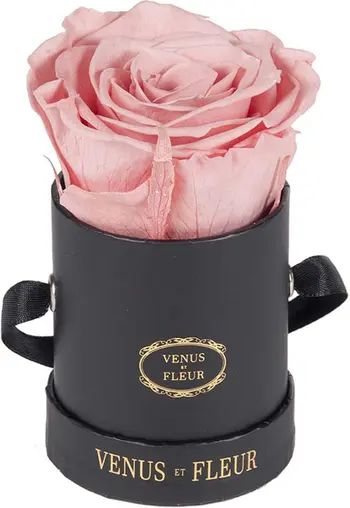 Venus ET Fleur Classic Le Mini™ Round Eternity Rose | Nordstrom | Nordstrom