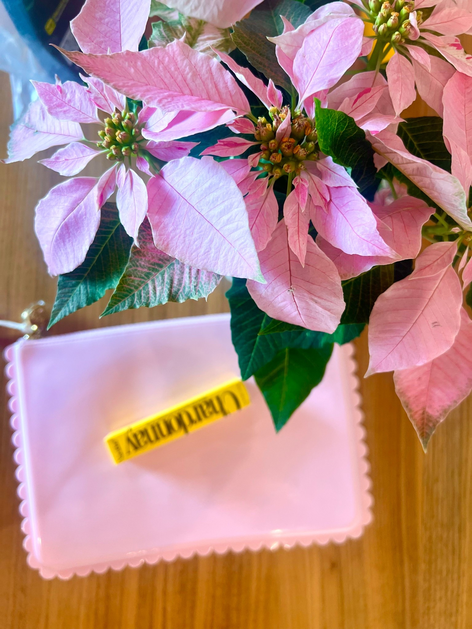 Sweet Gifts ✨💖🎄
… from my sister!



#LTKTravel #LTKBeauty #LTKGiftGuide