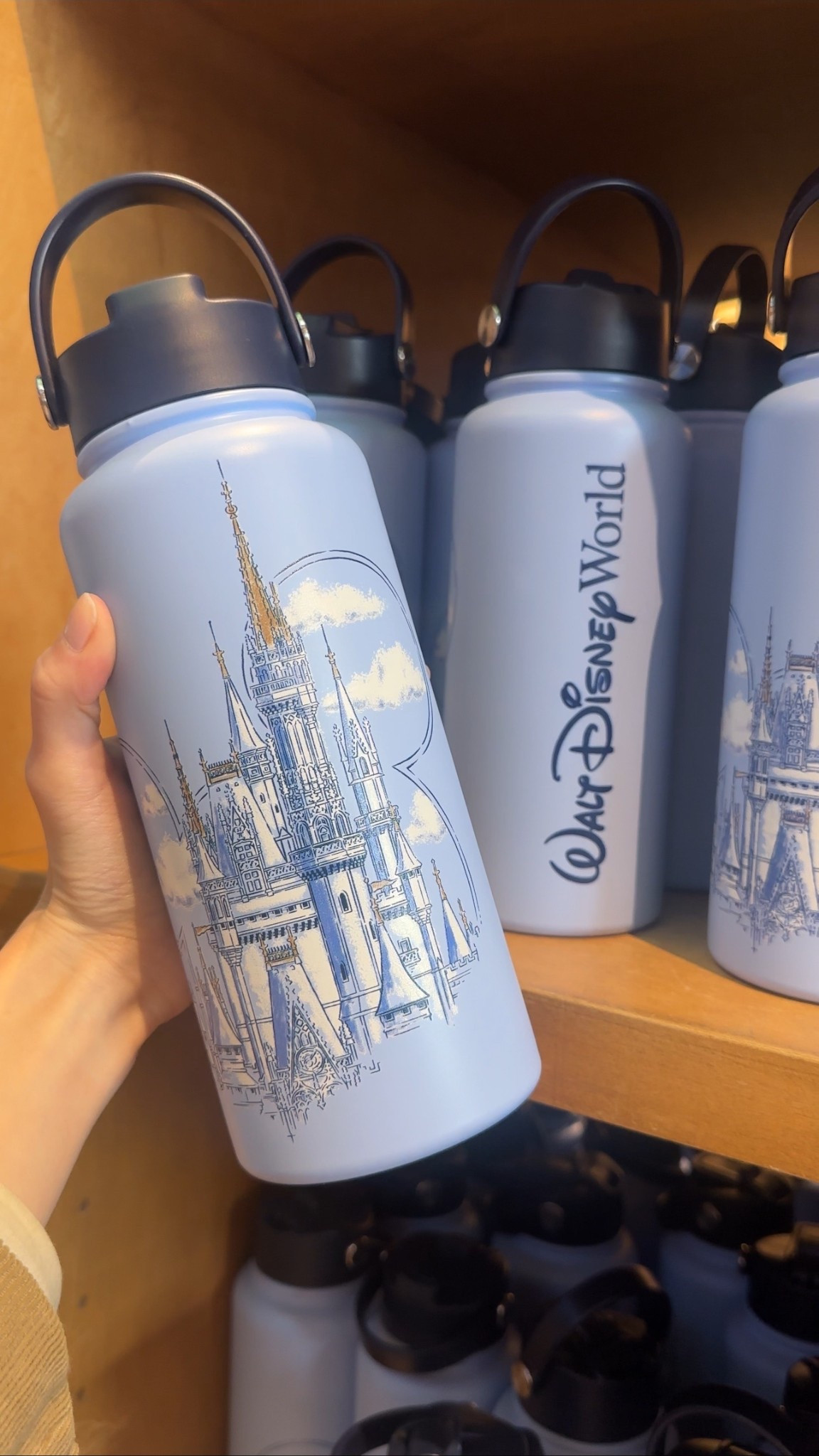 The lrettiest castle collection hydro jug 

Water bottle | hydrojug | Disney | Disneyland | Disney world 

#LTKfitnessgoals #LTKmomlife #LTKTravel