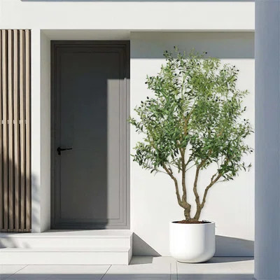 Artificial Olive Tree with Natural Trunk and Lifelike Olive Leaves and Fruit, Perfect Decorative Plant for Indoor and Outdoor Spaces | Wayfair North America