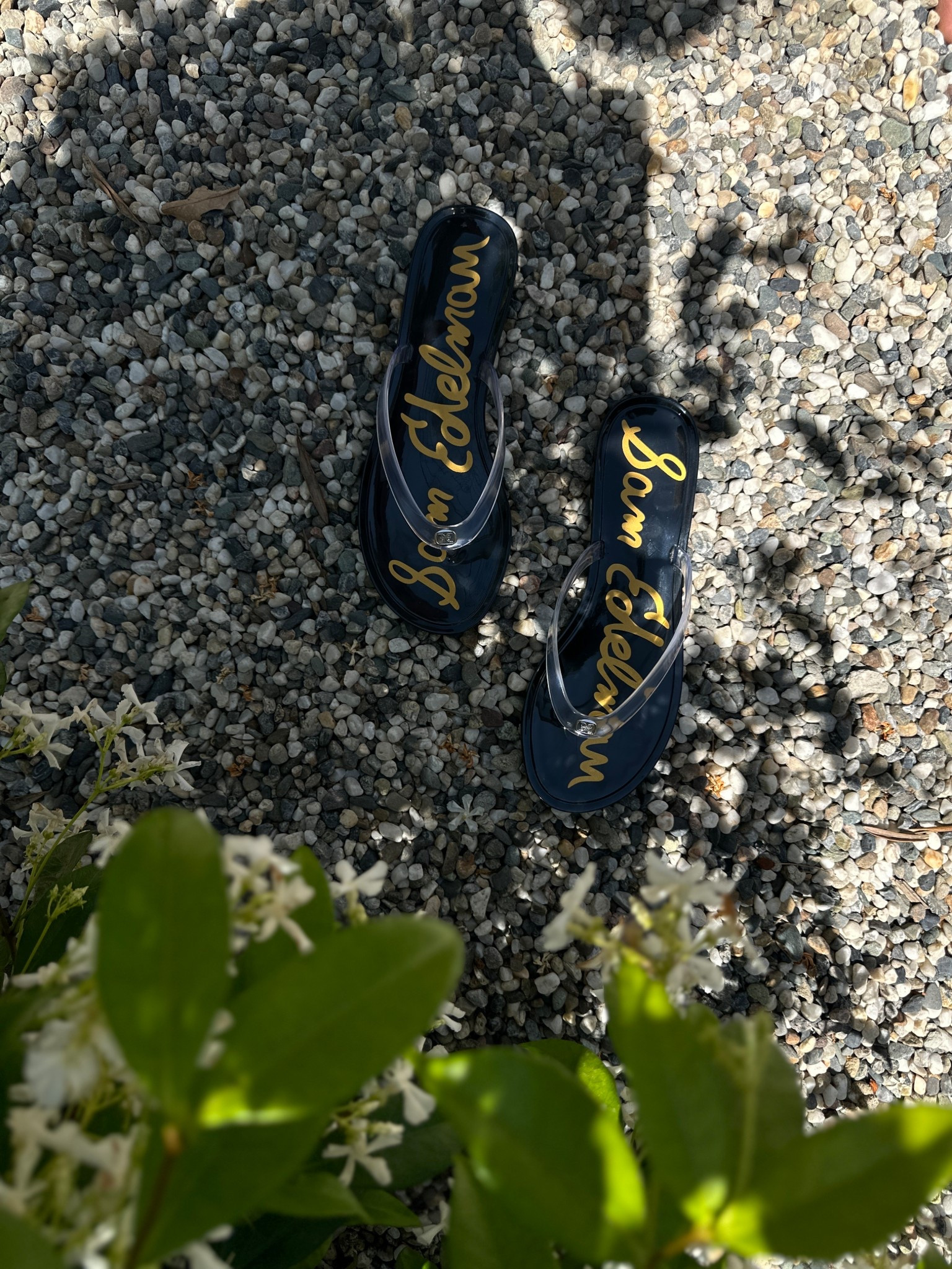 Jelly sandals 🤍 I’m between sizes and took my smaller size. These do run narrow. 

Summer shoes, summer sandals, jellies, shoes for summer, pool shoes, pool sandals 



#LTKFindsUnder50 #LTKFindsUnder100 #LTKShoeCrush