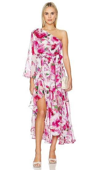 Sabrina Dress in Garden Fuchsia | Revolve Clothing (Global)