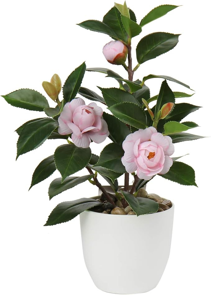 Briful Artificial Plants Mini Camellia Potted Fake Plants Small Faux Plastic Plants Desk Plant Ar... | Amazon (US)