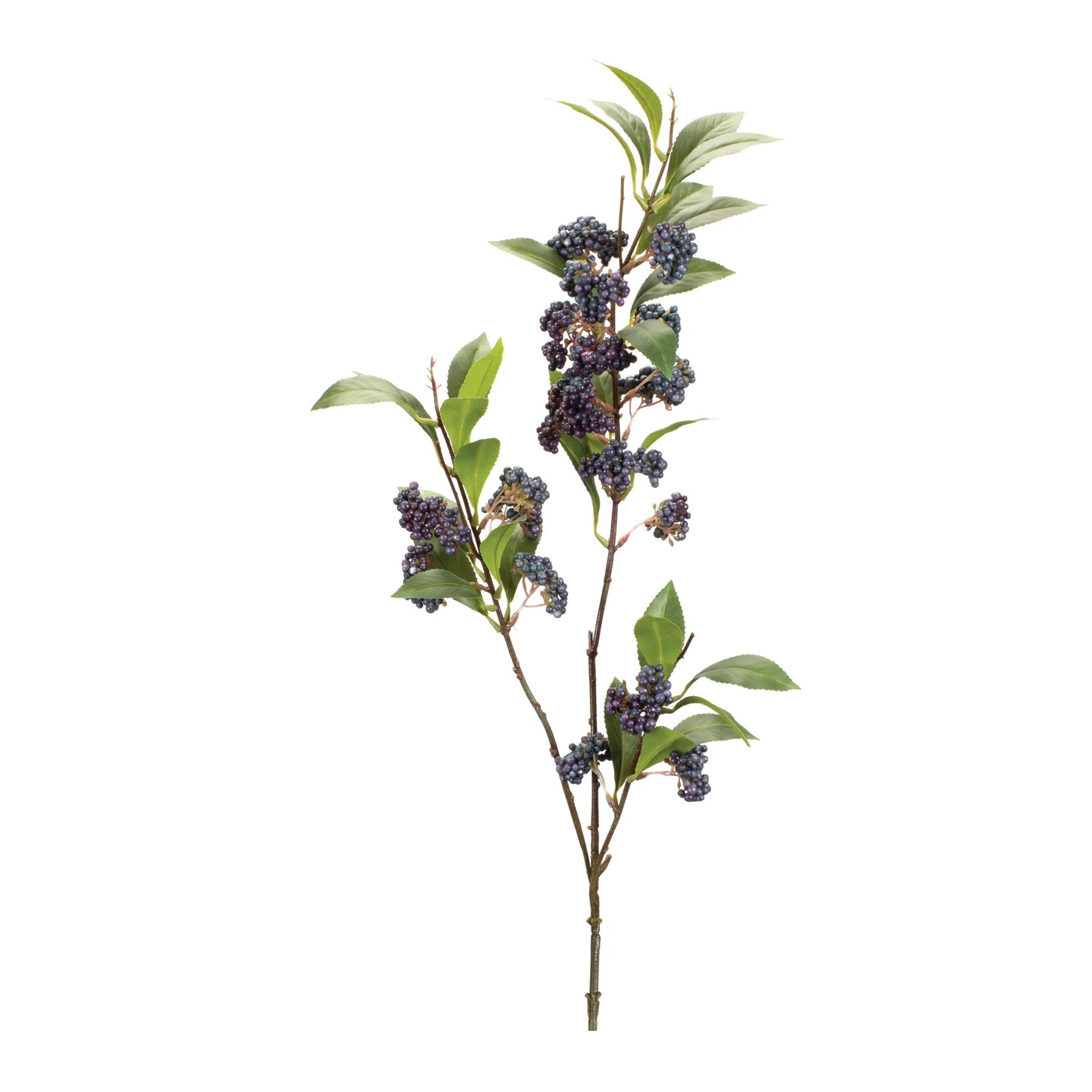 Mini Berry Foliage Branch (Set of 2) (Set of 2) | Wayfair North America