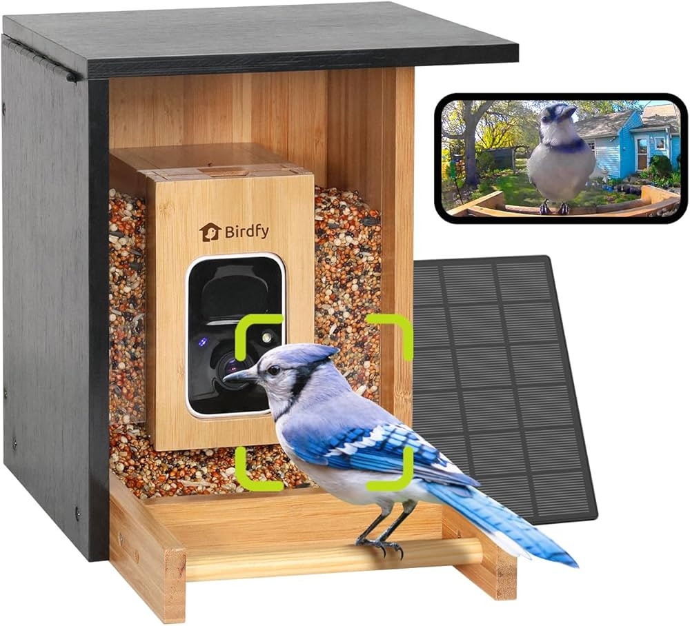 Birdfy AI Smart Bird Feeder with Camera, High-End Bamboo, Mini in Size, Solar Powered, Permanent ... | Amazon (US)