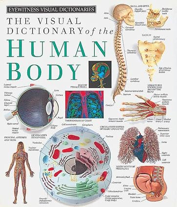 Eyewitness Visual Dictionaries: The Visual Dictionary of the Human Body | Amazon (US)