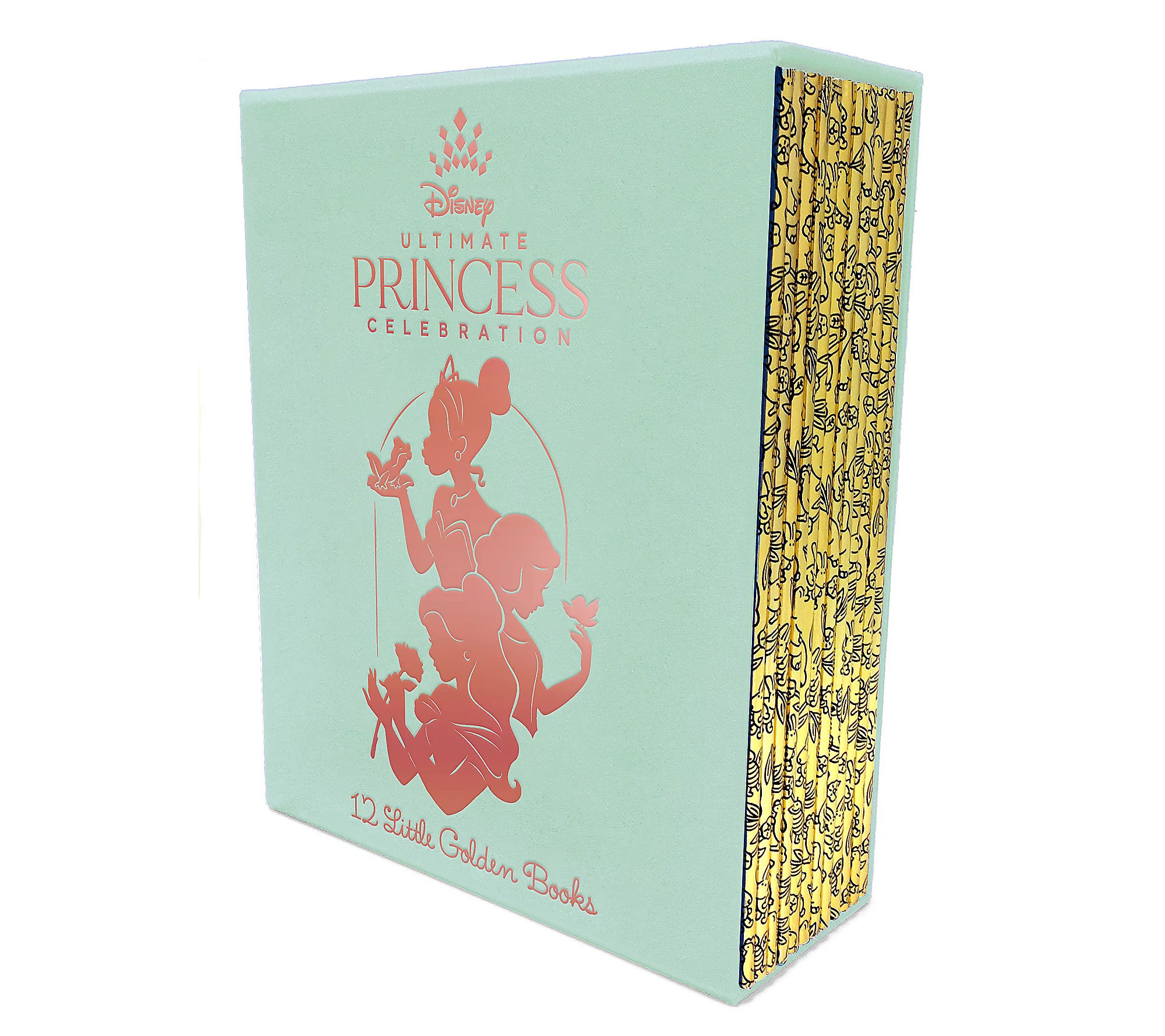 Ultimate Princess Boxed Set of 12 Disney Little Golden Books | QVC
