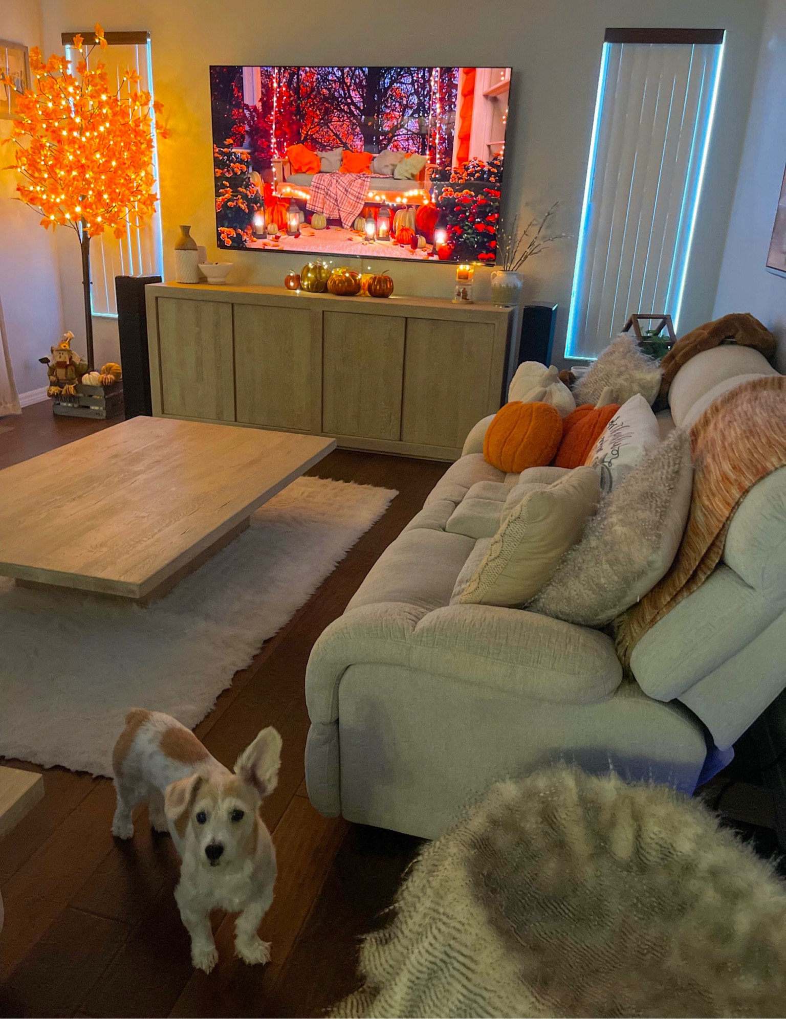 #LTKSeasonal #LTKhome #LTKHalloween