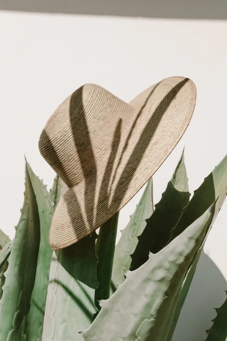 Second to Sun Natural Woven Straw Wide-Brim Hat | Lulus (US)