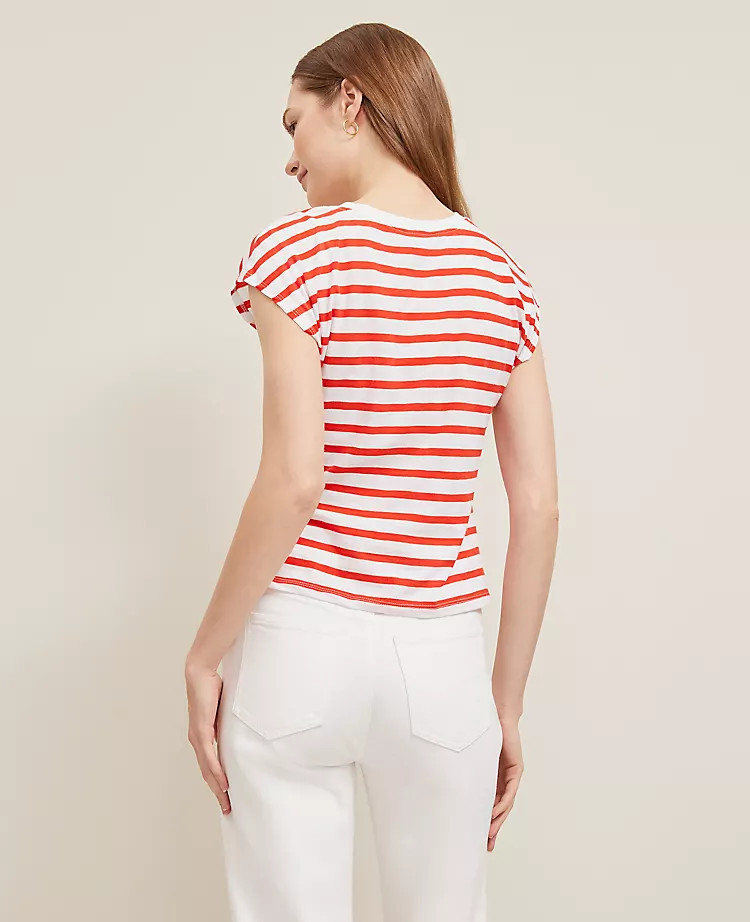 Ann Taylor | Ann Taylor