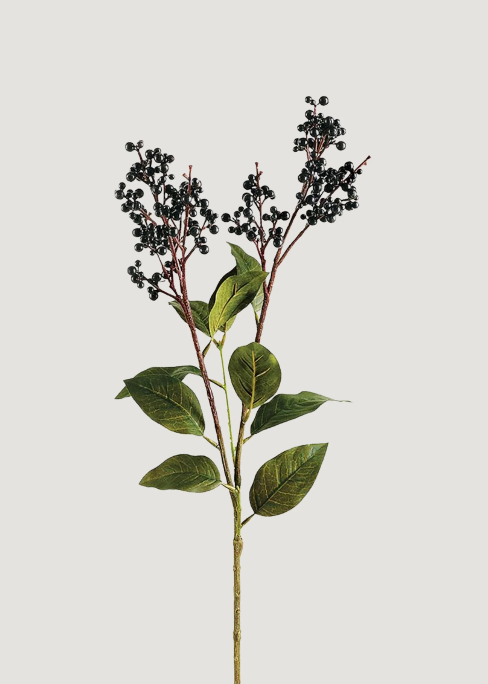 Fake Berries Lacoste Berry Branch in Black - 25.25" | Afloral