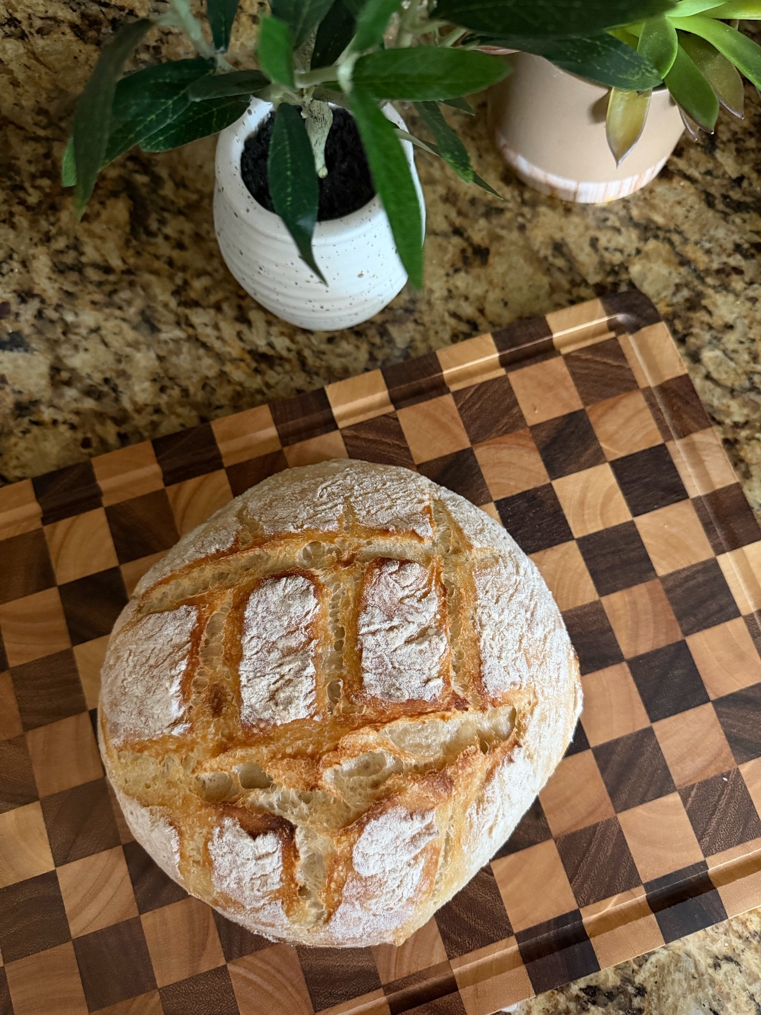 Sourdough essentials on sale right now!

#LTKfoodie #LTKHome