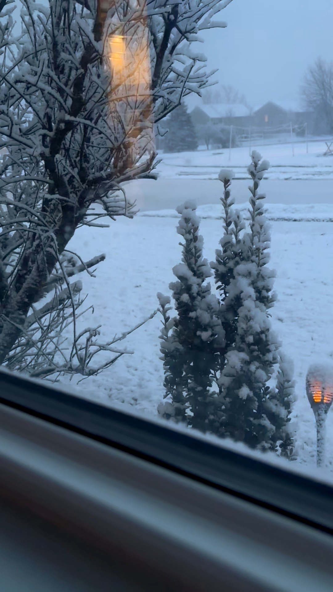 These solar powered flickering lanterns are so cool and look like tiki torches. We always get asked about them! So pretty in all seasons.


Home decor, outdoor lanterns, outdoor lighting, lighting, home, Amazon home, Amazon finds, front porch, landscaping, spring decor, outdoors, outdoor furniture, summer decor 

#LTKdayinmylife #LTKSeasonal #LTKHome