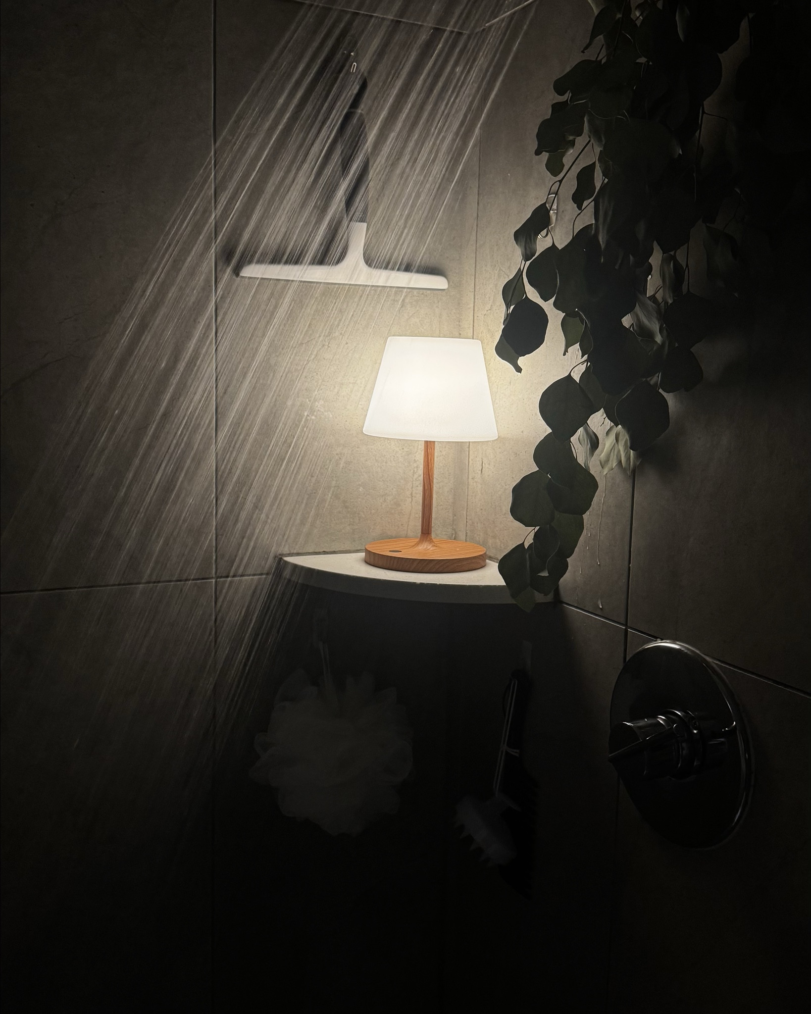 Waterproof rechargeable lamp perfect for your most relaxing everything shower yet. It is rechargeable, waterproof, and dimmable with a warm tone. It gets really bright so would be great for a patio table or camping, outdoor weddings/parties/etc

#LTKFindsUnder50 #LTKGiftGuide #LTKSaleAlert