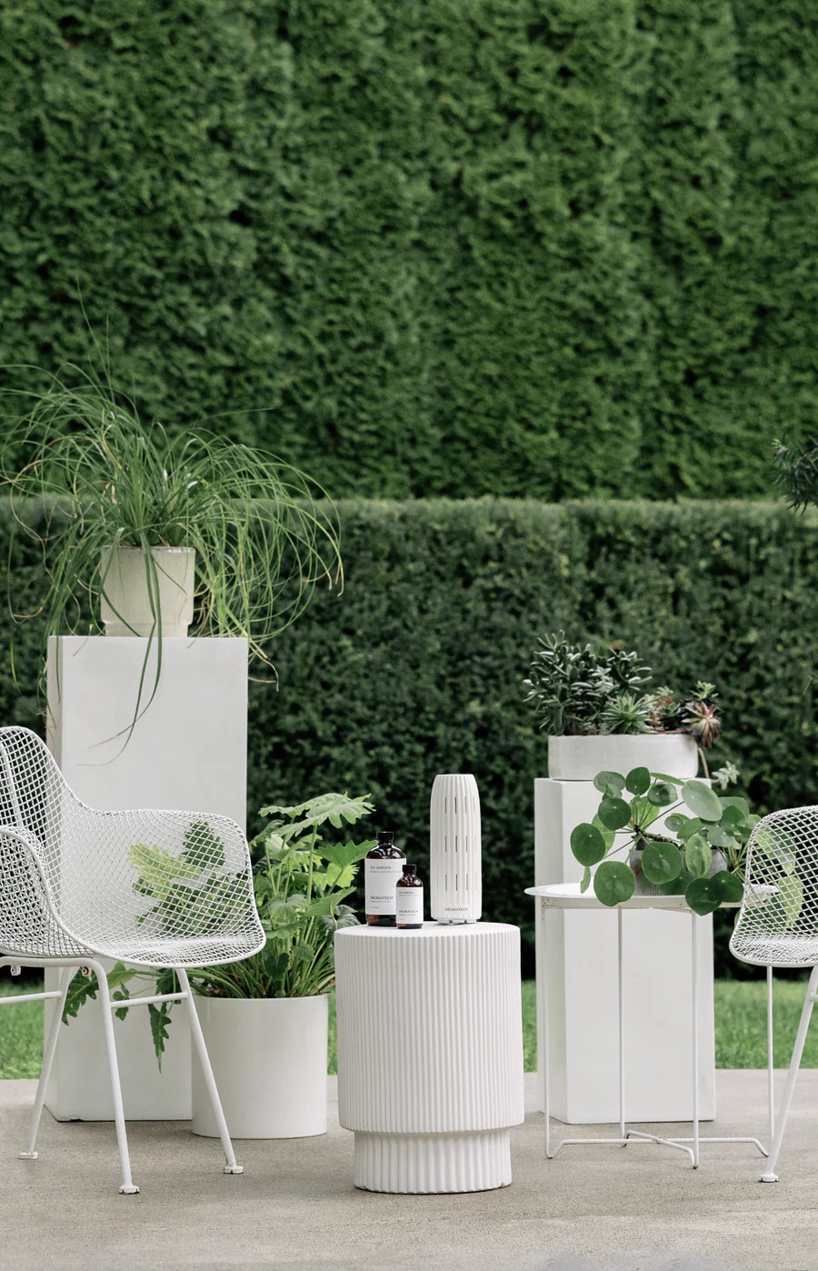 Tea Garden | AromaTech