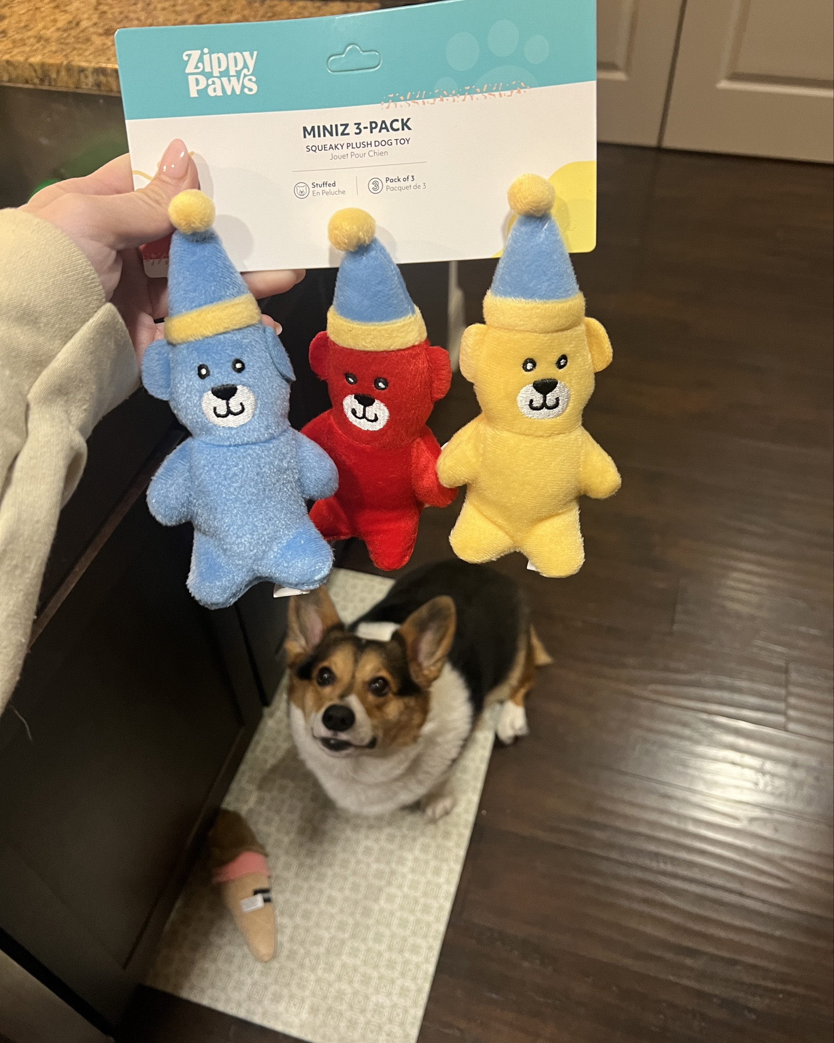 So happy about new Zippy Paws dog toys 🧸 the ice cream cone is CeeDee’s favorite!

#LTKFamily #LTKGiftGuide #LTKFindsUnder50