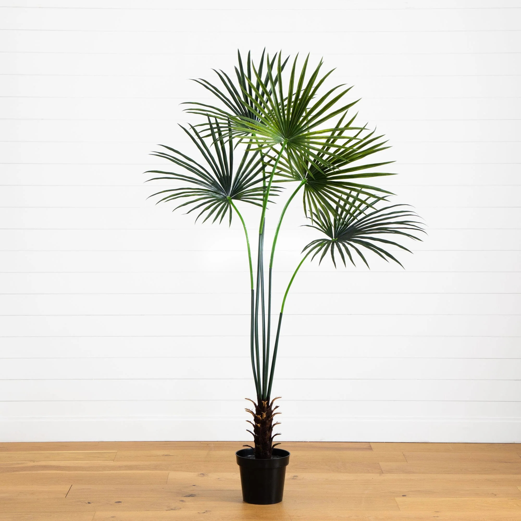 7’ Fan Palm Tree UV Resistant (Indoor/Outdoor) | Nearly Natural | Nearly Natural