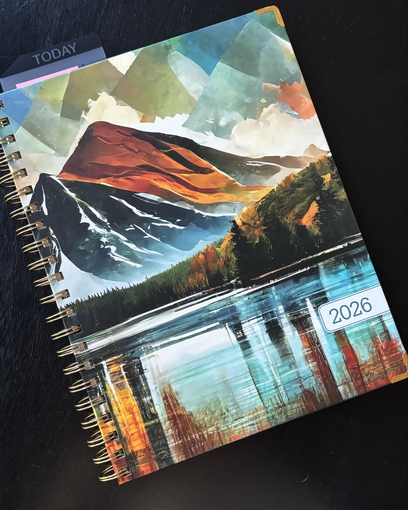 I’ve been using this calendar brand and form for the past few years and love it! Hardcover and several of cover styles available. Amazon find!

#LTKFindsUnder50 #LTKHome #LTKSaleAlert