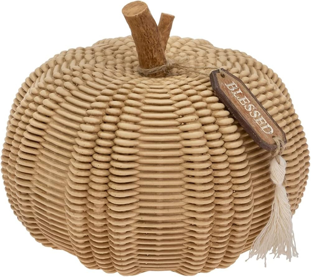 Boston International Pumpkin Décor Autumn & Fall Decorations, Large, Wicker Textured | Amazon (US)