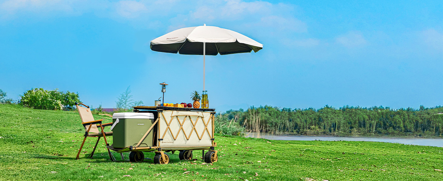 Amazon.com: Whitsunday Collapsible Folding Wagon with Table,Heavy Duty Utility Beach Wagons with ... | Amazon (US)