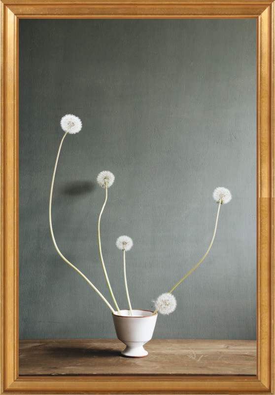 Dandelions by Janneke Luursema on Artfully Walls | Artfully Walls