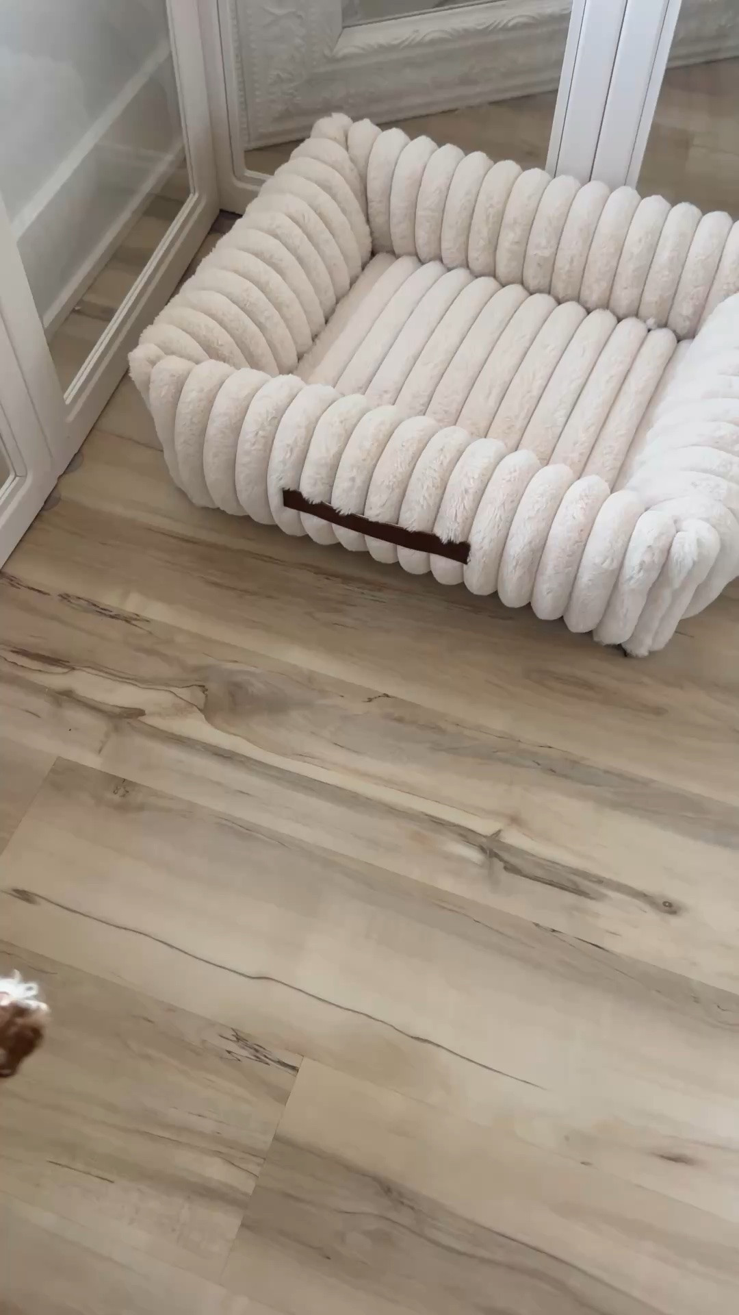 Pet essentials at home.

#PetMustHaves #xoJalonda #PuppyBed #FurMomLife #FurLove

#LTKmomlife #LTKHome