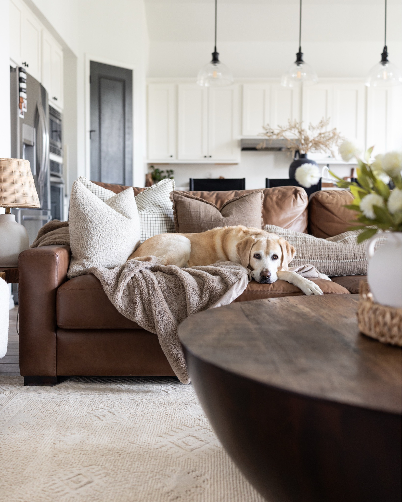 The pillow refresh our living room needed 🤎

I recently switched to down inserts and I’m officially obsessed with the cozy, designer look they create. As a dog mom, I choose removable pillow covers so they’re easy to wash and swap out seasonally. Sharing all the details here!

#LTKHome